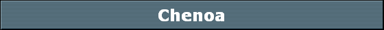 Chenoa