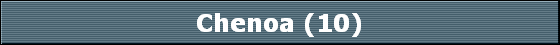 Chenoa (10)