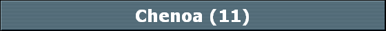 Chenoa (11)