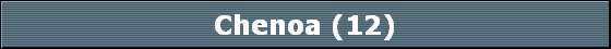 Chenoa (12)