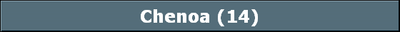 Chenoa (14)