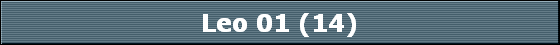 Leo 01 (14)
