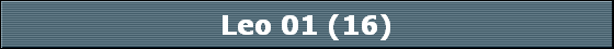 Leo 01 (16)