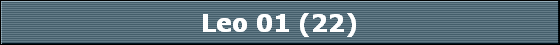 Leo 01 (22)