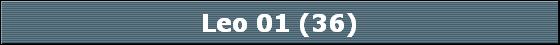 Leo 01 (36)