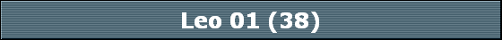 Leo 01 (38)
