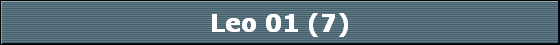 Leo 01 (7)