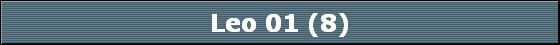 Leo 01 (8)