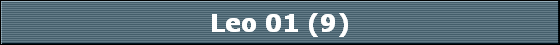 Leo 01 (9)