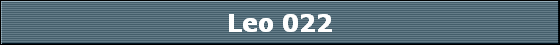 Leo 022