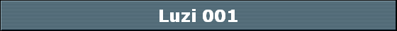 Luzi 001