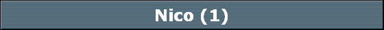 Nico (1)