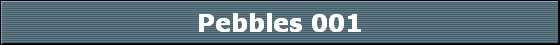 Pebbles 001