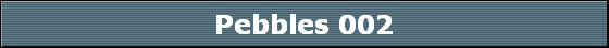 Pebbles 002