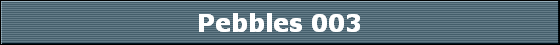 Pebbles 003
