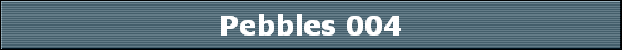 Pebbles 004