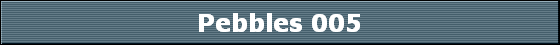 Pebbles 005