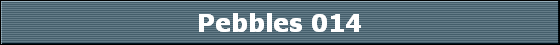 Pebbles 014