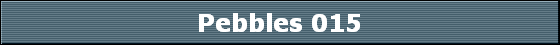 Pebbles 015