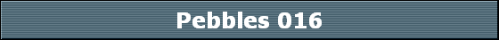 Pebbles 016