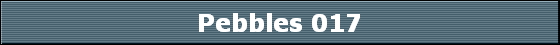 Pebbles 017