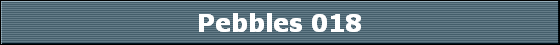 Pebbles 018