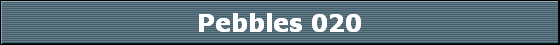 Pebbles 020