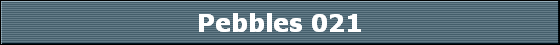 Pebbles 021