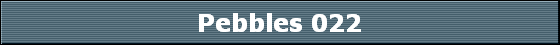 Pebbles 022
