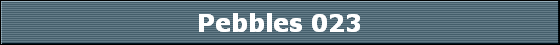 Pebbles 023