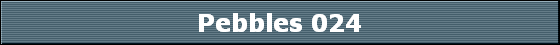 Pebbles 024