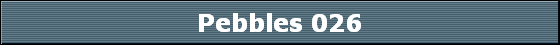 Pebbles 026