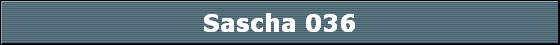 Sascha 036