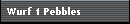 Wurf 1 Pebbles