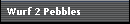 Wurf 2 Pebbles
