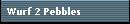 Wurf 2 Pebbles