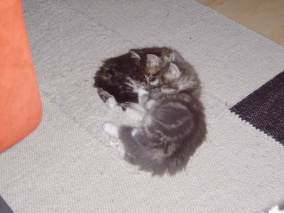 Theo & Shennah