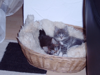 Theo & Shennah