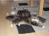 Theo & Shennah