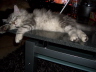 Balu 010