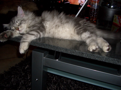 Balu 010