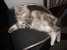 Balu 011