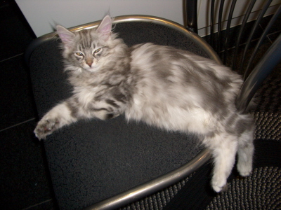 Balu 011