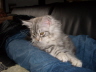 Balu 012
