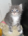 Bonny01 (10)