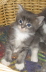 Bonny01 (13)