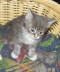 Bonny01 (14)