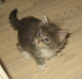 Bonny01 (15)