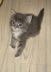 Bonny01 (1)