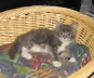Bonny01 (21)